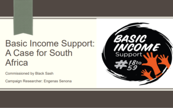 Basic Income Support: A Case for South Africa