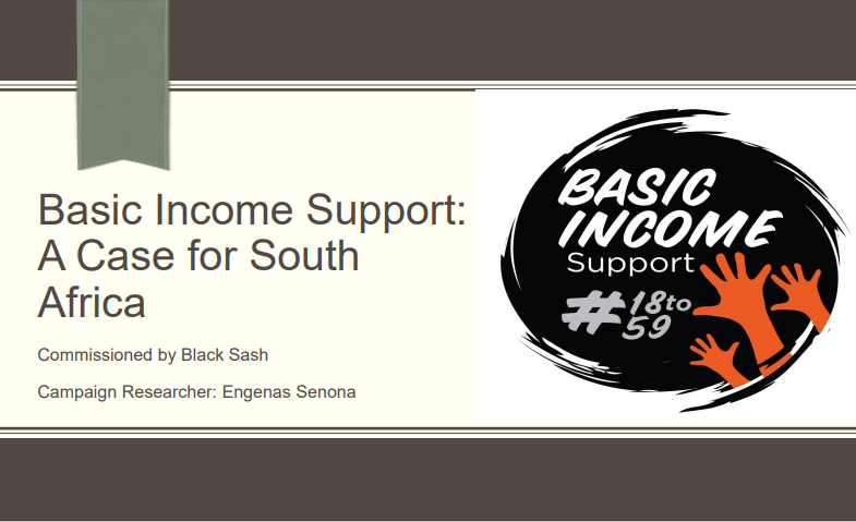 Basic Income Support: A Case for South Africa