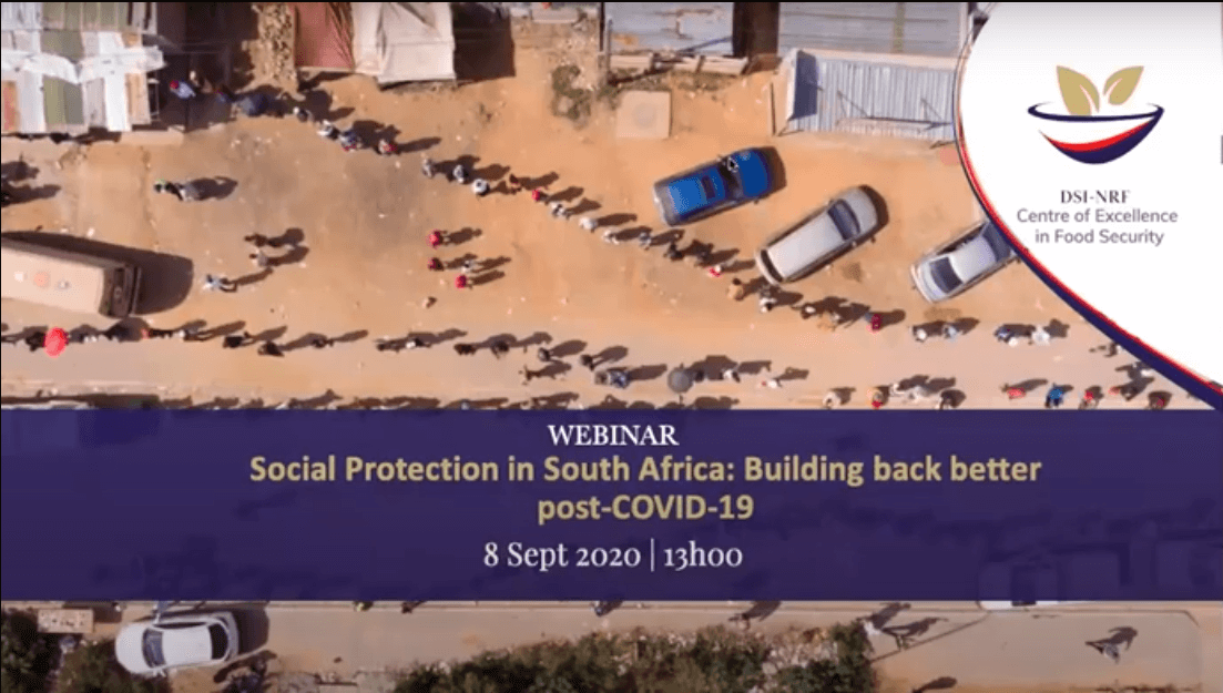 Social Protection in South Africa: Building back better post-COVID-19 – Webinar